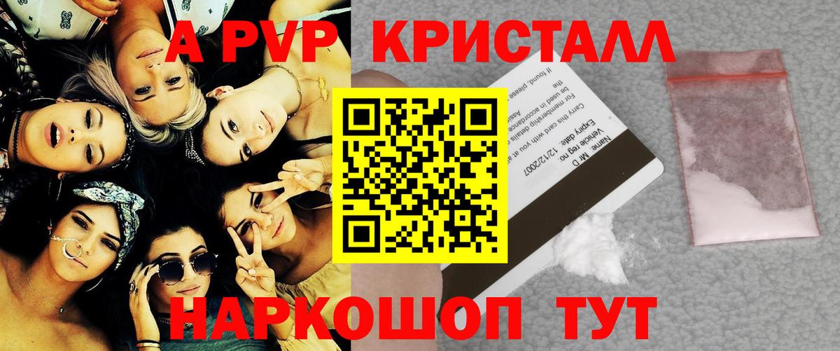 Альфа ПВП СК Бердск