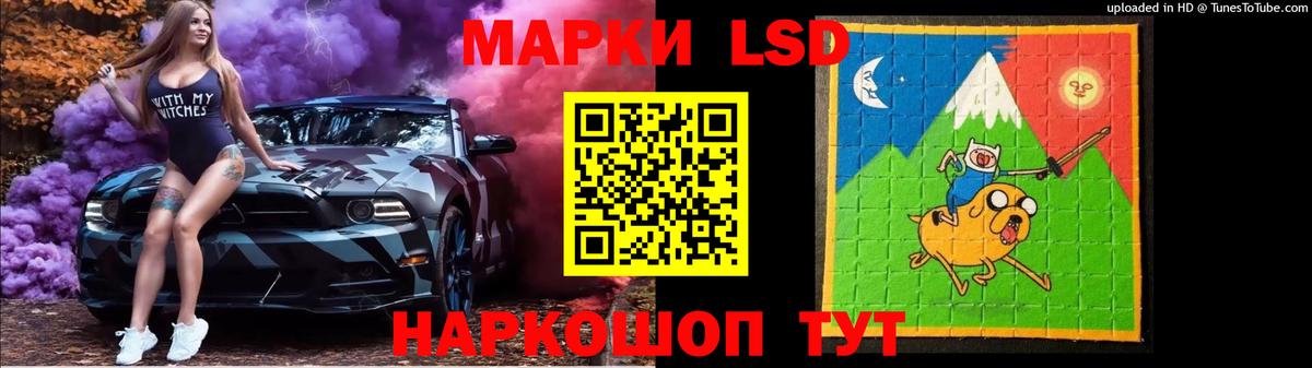 Бердск  LSD-25 экстази ecstasy  Вход с VPN  LSD-25 экстази кислота 