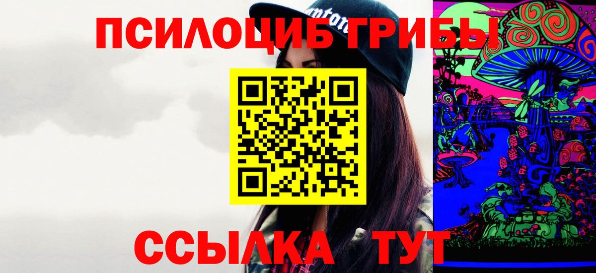 Галлюциногенные грибы Psilocybe Бердск