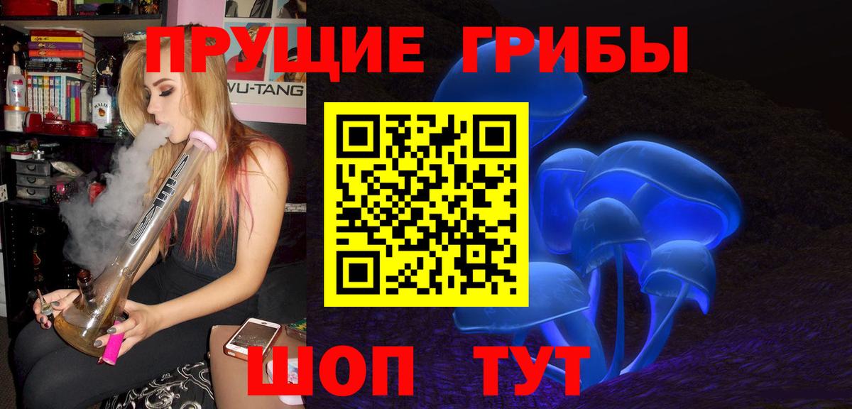 Псилоцибиновые грибы ЛСД  где купить наркоту  Бердск  Вход с VPN 